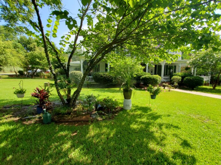 The Secret Language of Garden Paths: How Walkways Guide Emotion